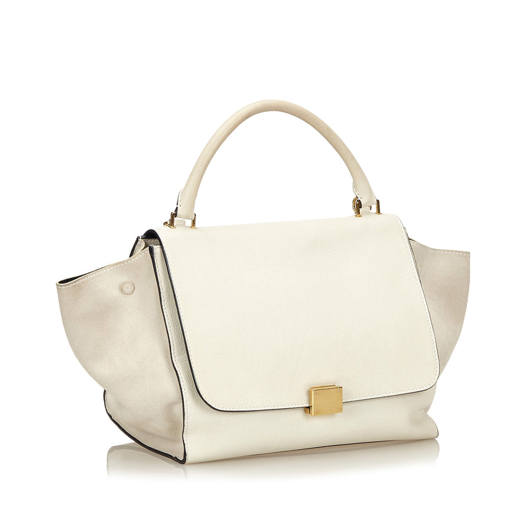 trapeze suede and calf leather bag