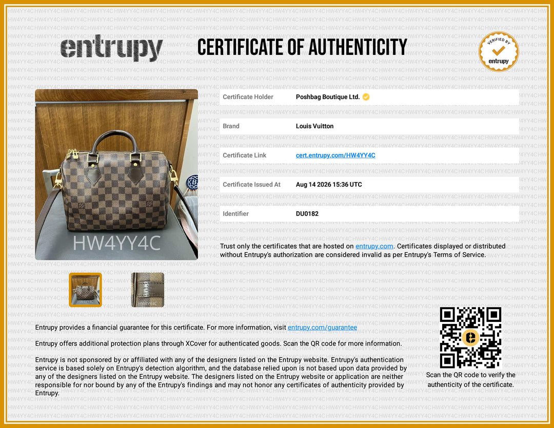 Damier Ebene Speedy 25 Bandouliere Crossbody Bag