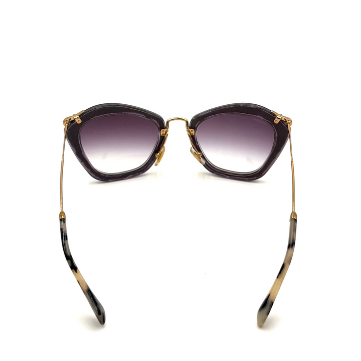 Noir Glitter Sunglasses with Hard Case