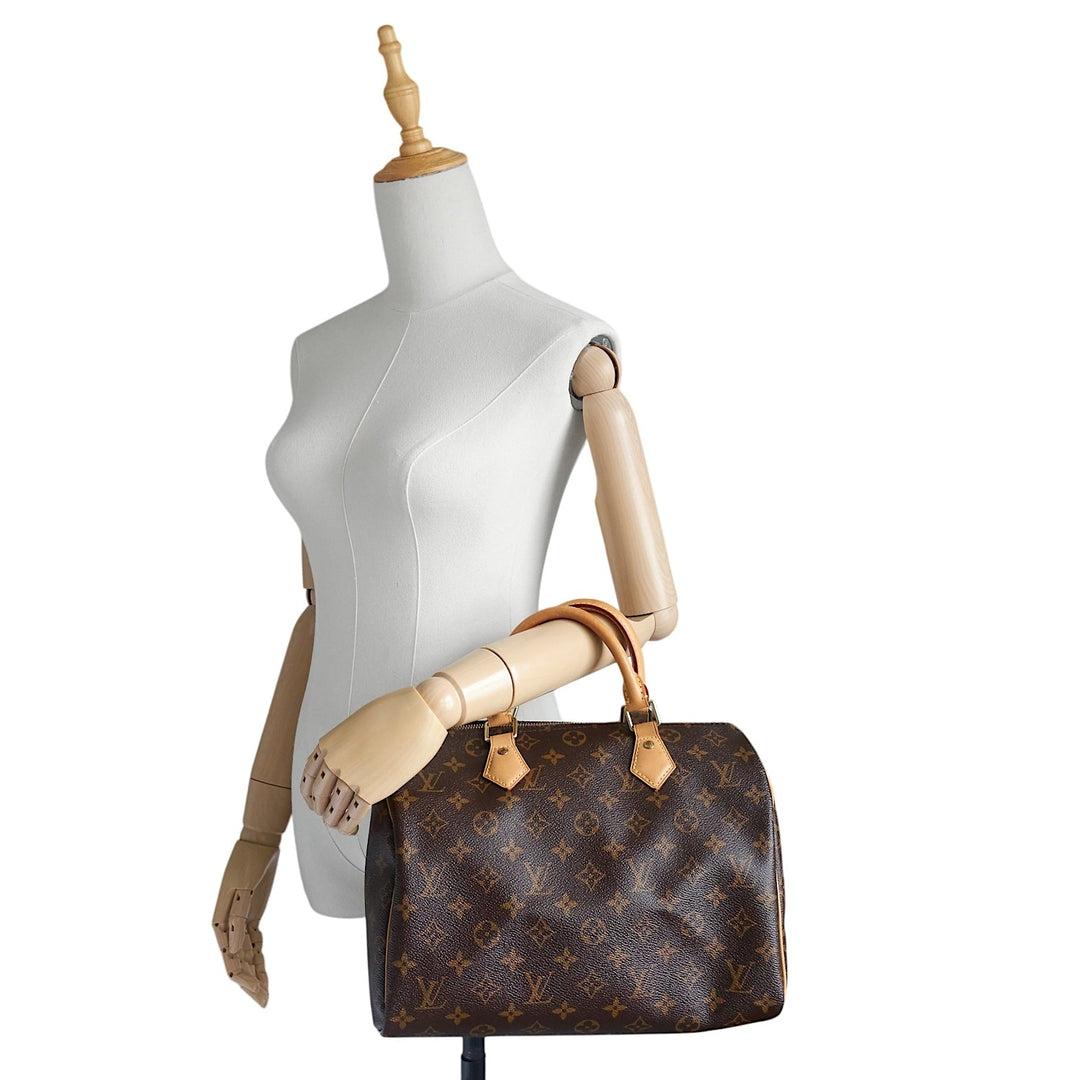 Speedy 30 Monogram Canvas Bag