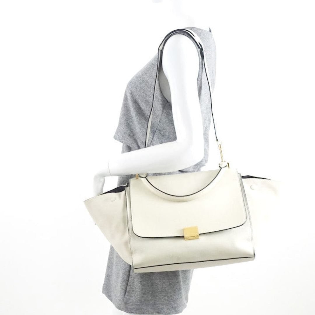 trapeze suede and calf leather bag
