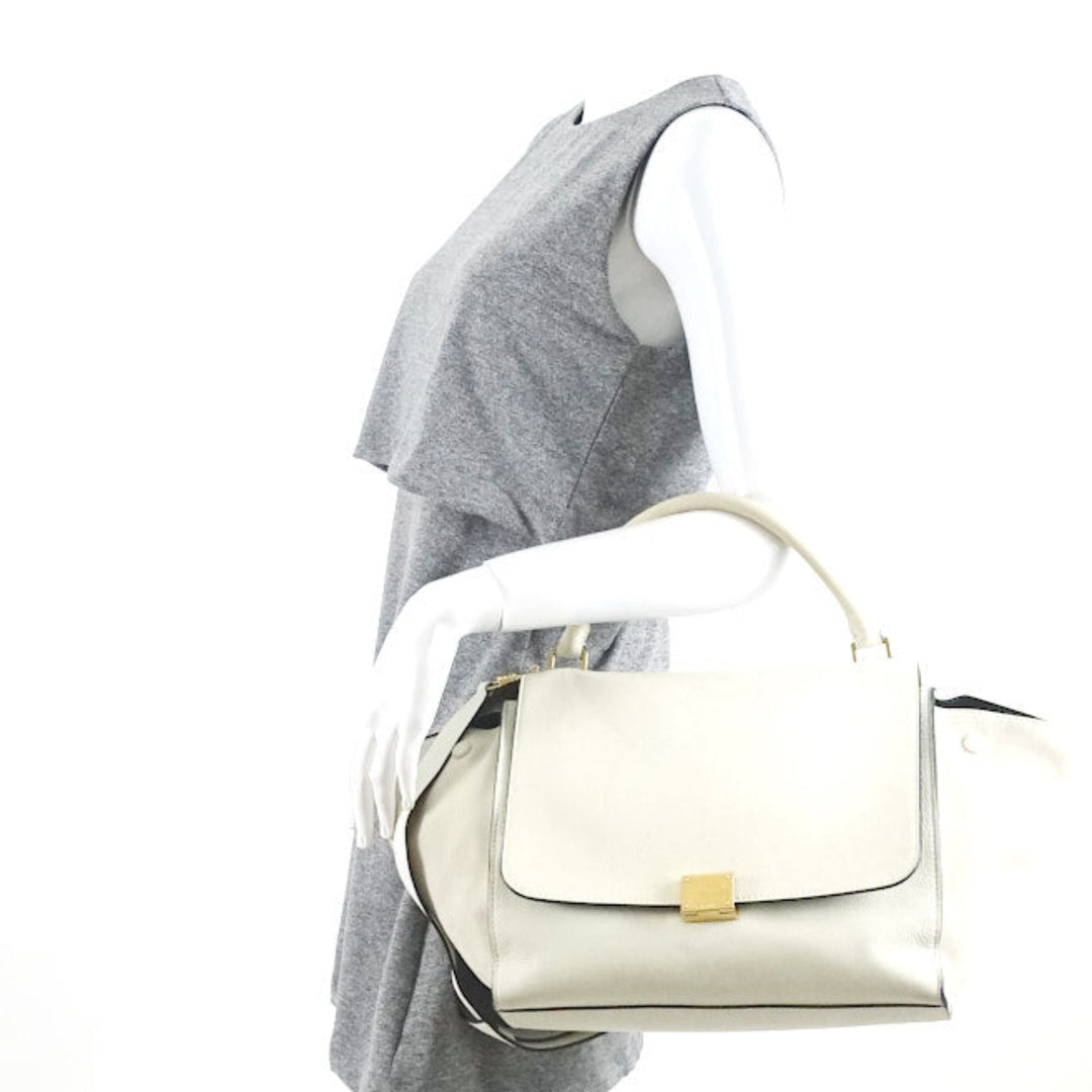 trapeze suede and calf leather bag